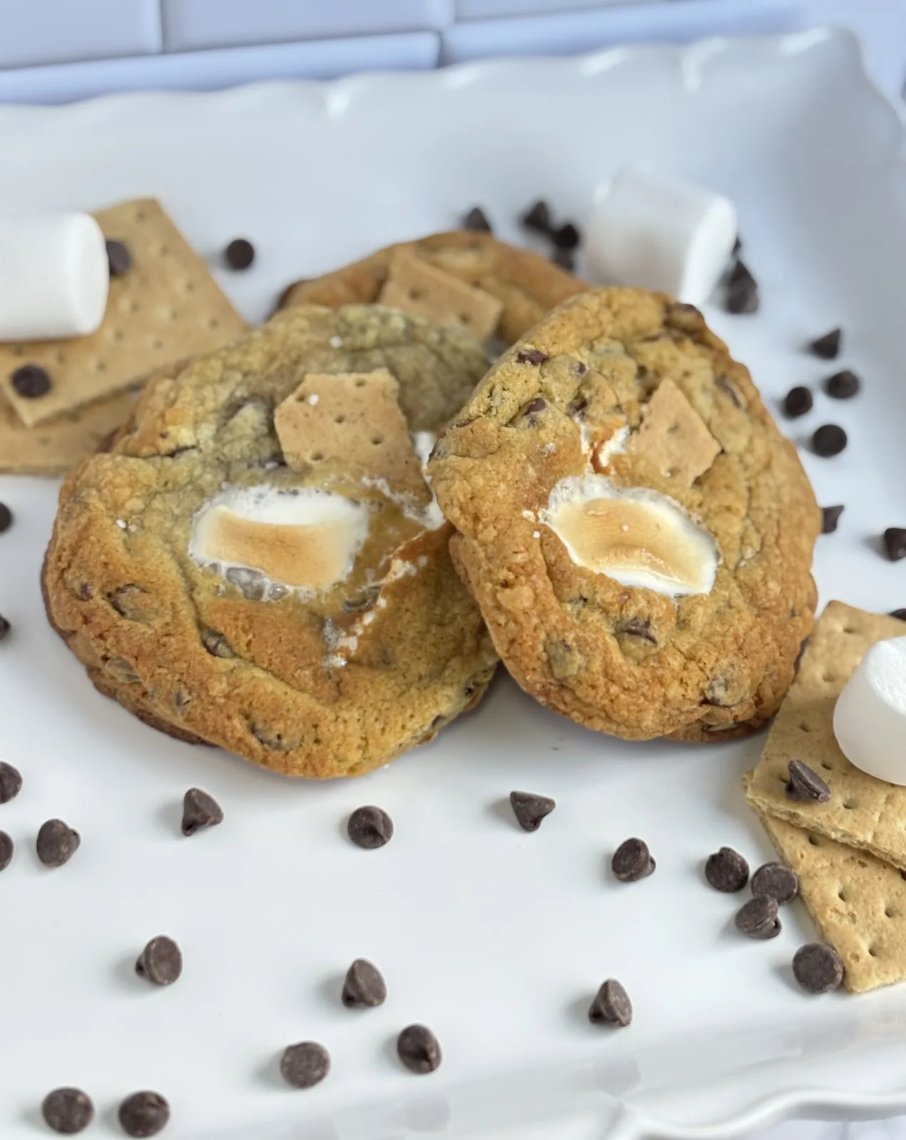 I Am Cookie & Sugar Co. cookie gallery photo